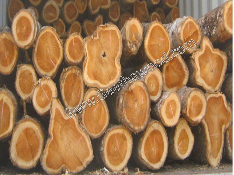 Teak wood Logs